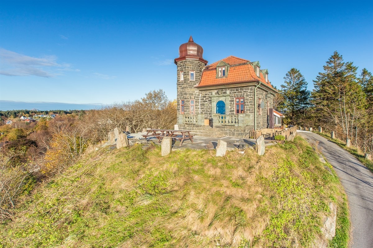 Kongen på haugen i eget "slott"? Galleribilde