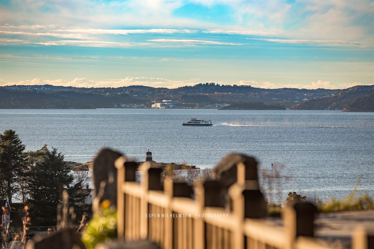 Utsikten fra terrassen. Galleribilde