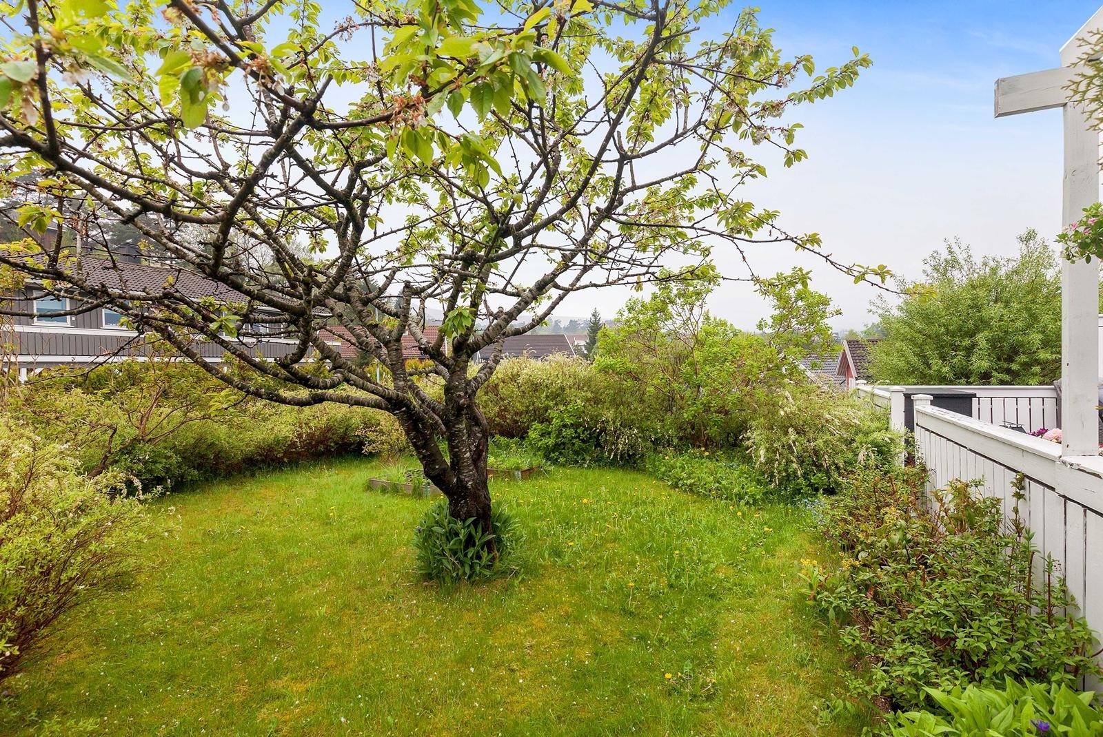 Uteområde Galleribilde