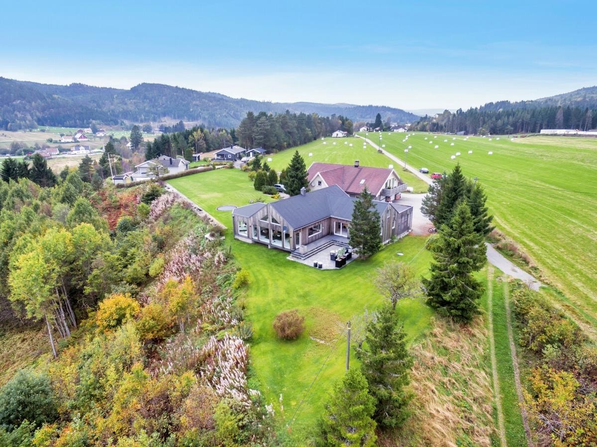 Flyfoto Galleribilde