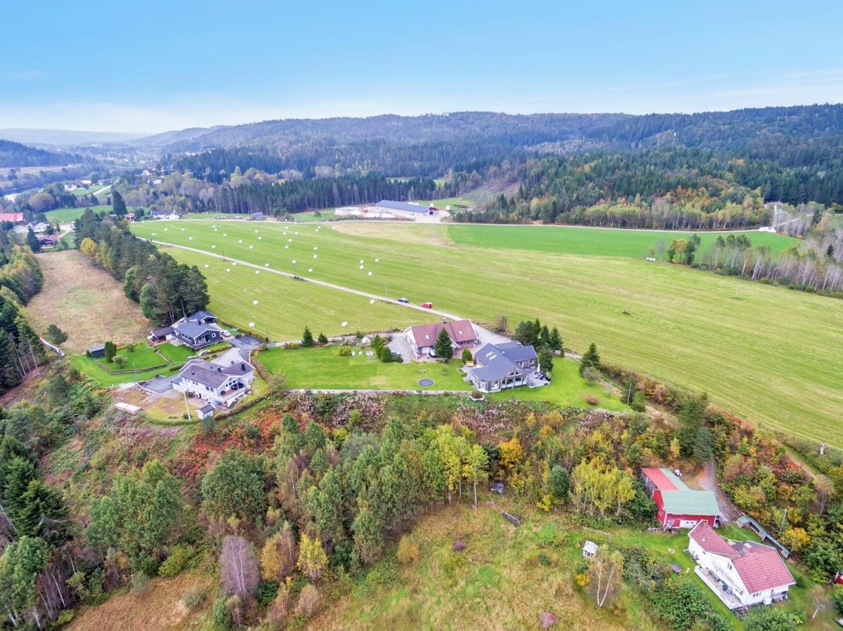 Flyfoto Galleribilde