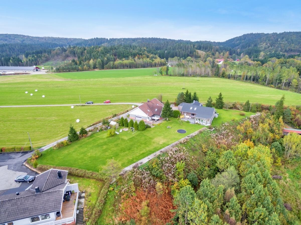 Flyfoto Galleribilde