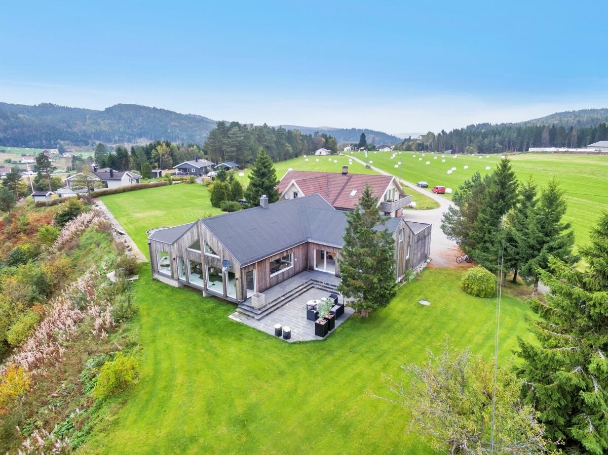 Flyfoto Galleribilde