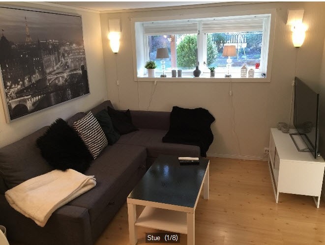 Stue med store vinduer og godt lys. Galleribilde