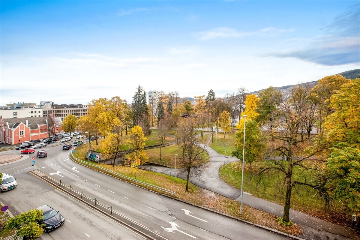 Utsikt utover Museumsparken Galleribilde