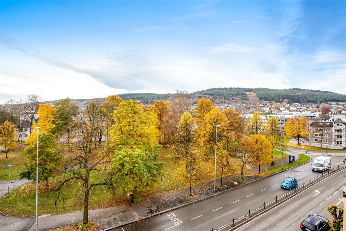 Utsikt utover Museumsparken Galleribilde
