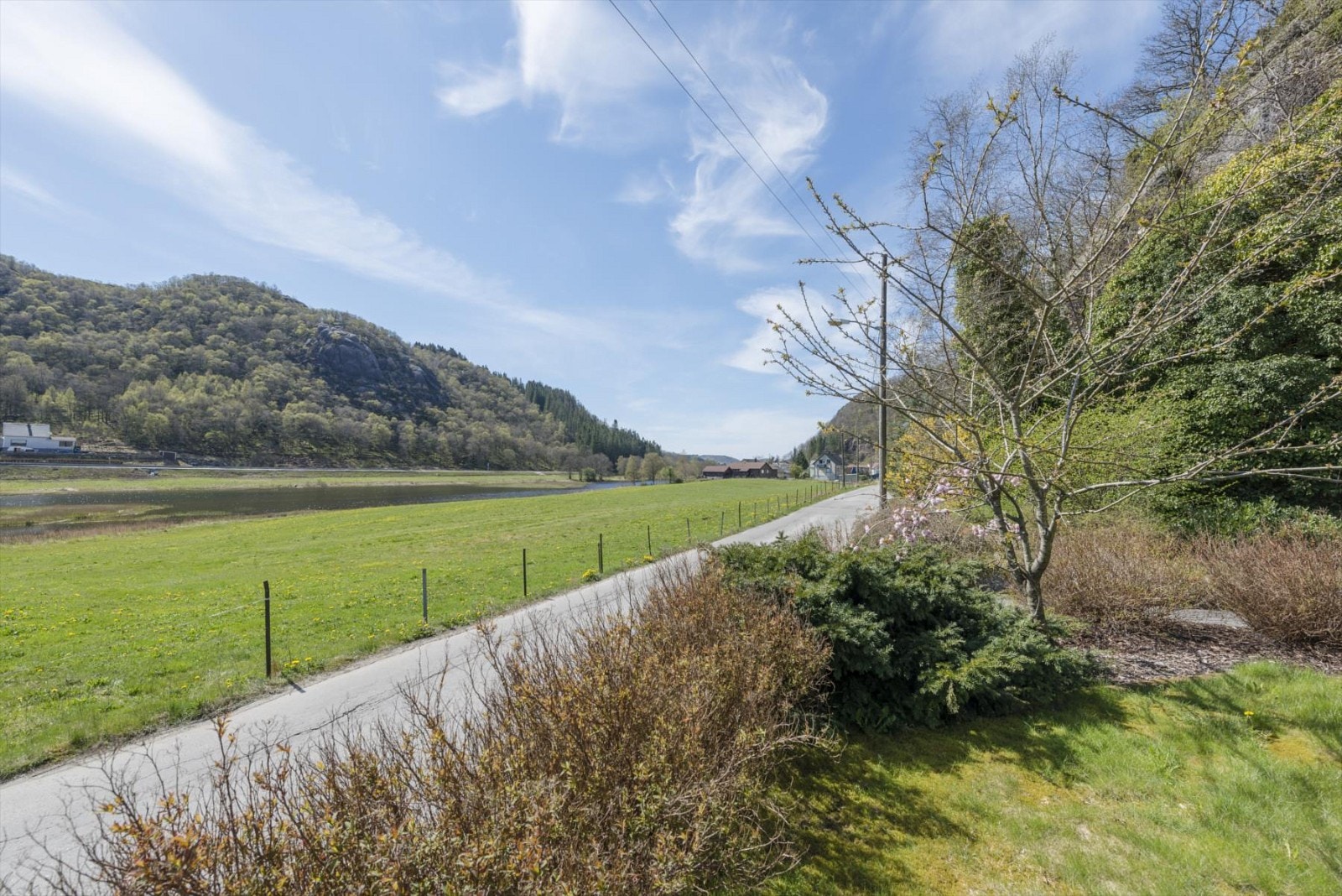 Hage utsikt Galleribilde