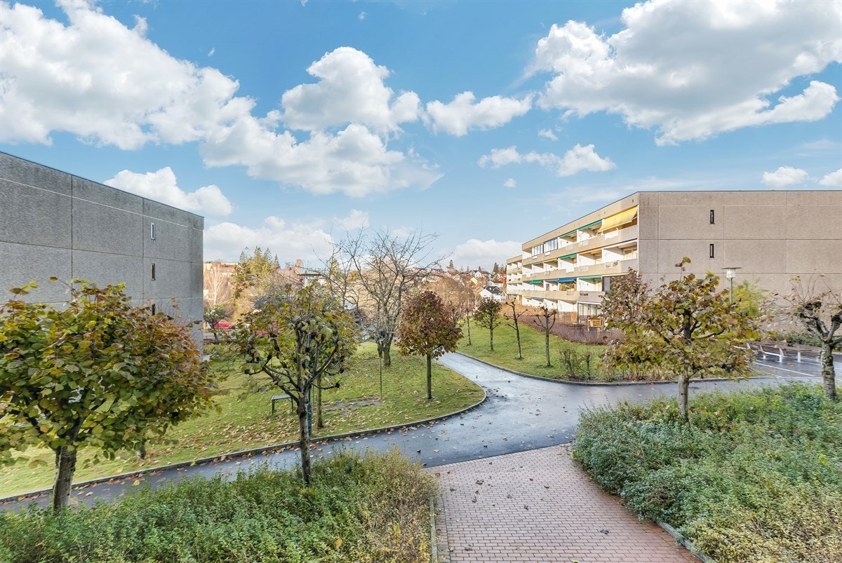 Hyggelig utsyn Galleribilde