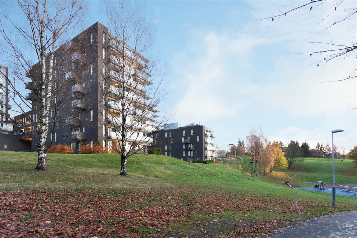 Fellesområdene er meget pent opparbeidet med asfaltert adkomst, store grøntområder med pen beplantning. Galleribilde