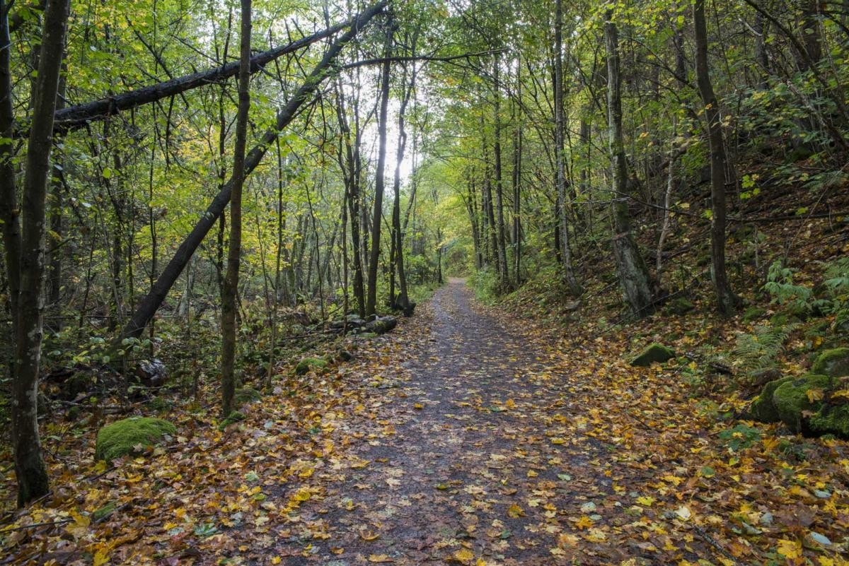 Umiddelbar nærhet til skog og mark med fine turstier/ skiløyper langs Mærradalen som fører opp til Bogstad og videre innover mot Sørkedalen og Nordmarka. Holmenkollen og Frognerseteren er også i nærheten, samt et yrende byliv. Galleribilde
