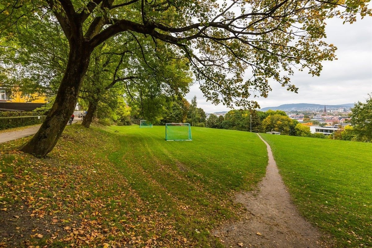 Fint område, veldig sentralt, men fortsatt skjermet fra støy Galleribilde