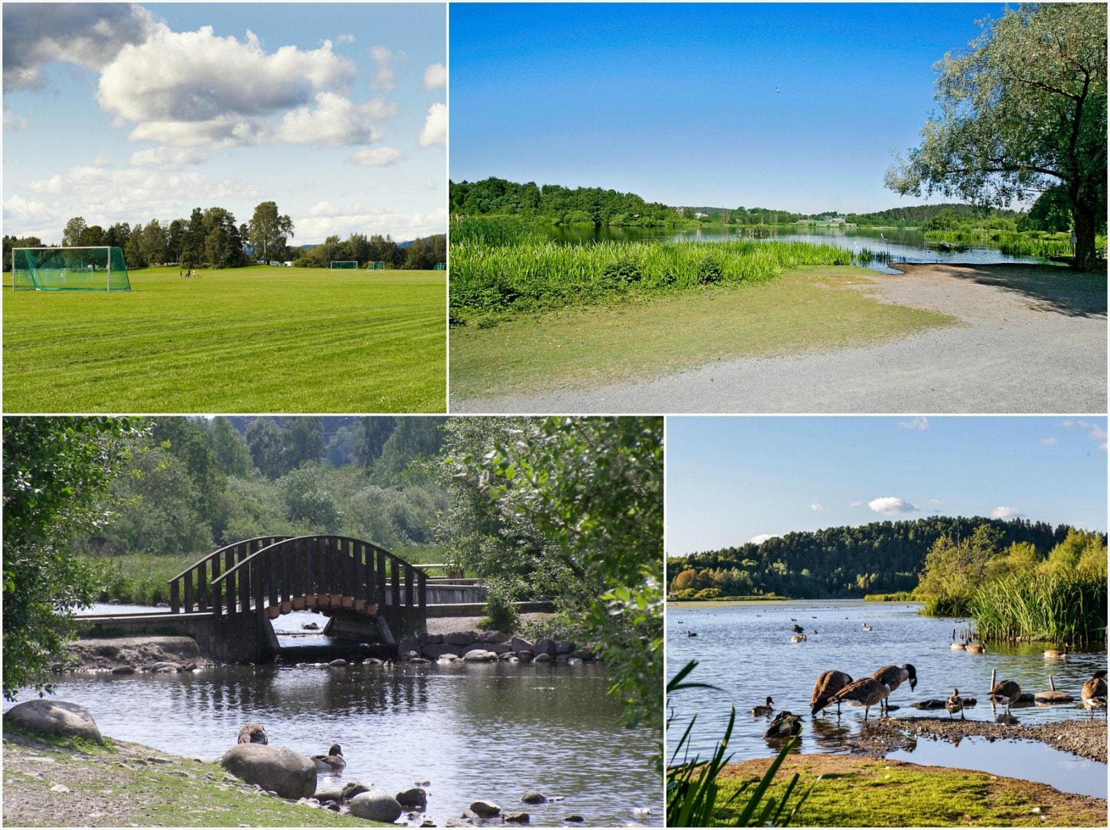 Kort vei til Ekeberg og liker du friluftslivet er det godt å vite at det er kort vei til Østmarka. Galleribilde