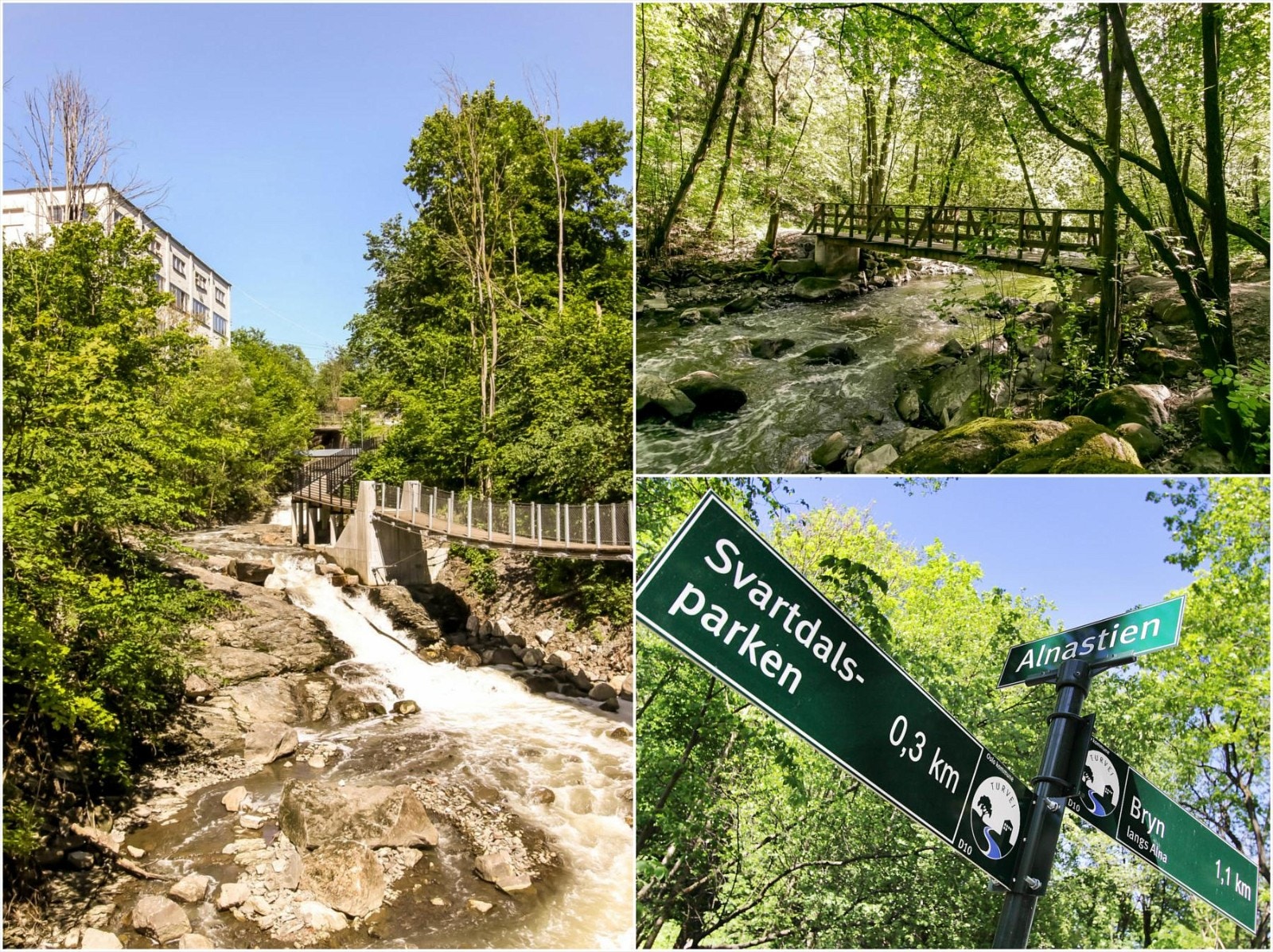 Svartdalsparken er en kjempefin turvei gjennom tett skog langs Alnaelva, og også over en hengebro og på et platå festet i fjellet over fossende elvestryk nedenfor. Galleribilde