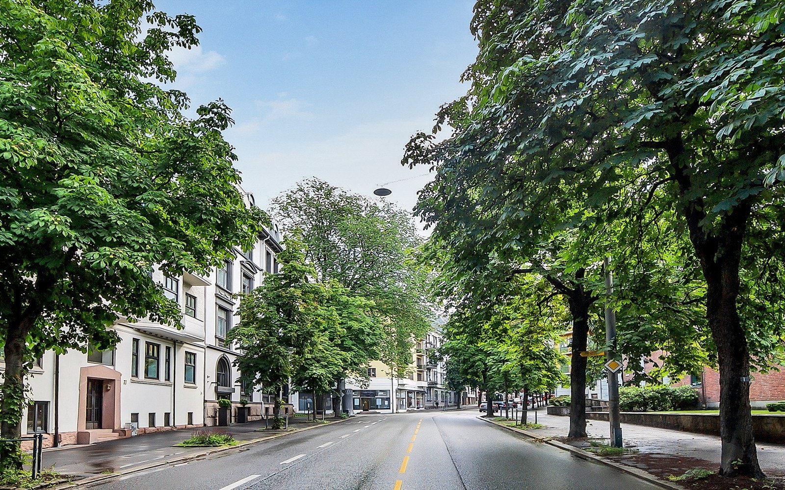 Bygdøy allé er kjent for sine vakre kastanjetrær. Galleribilde