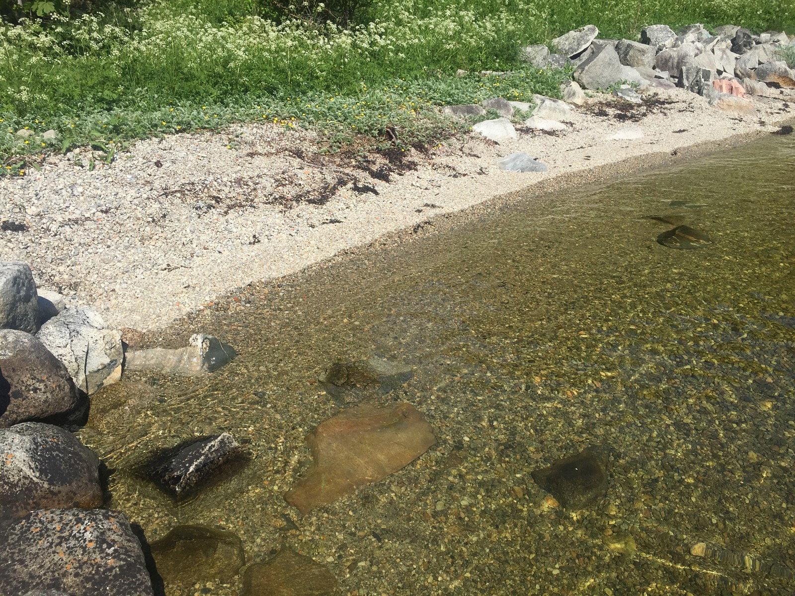 Badestrand Galleribilde