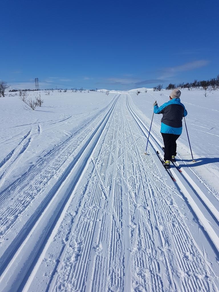 Enkelt med skiløype til Sarvesvannene og Røde Korshytta Galleribilde