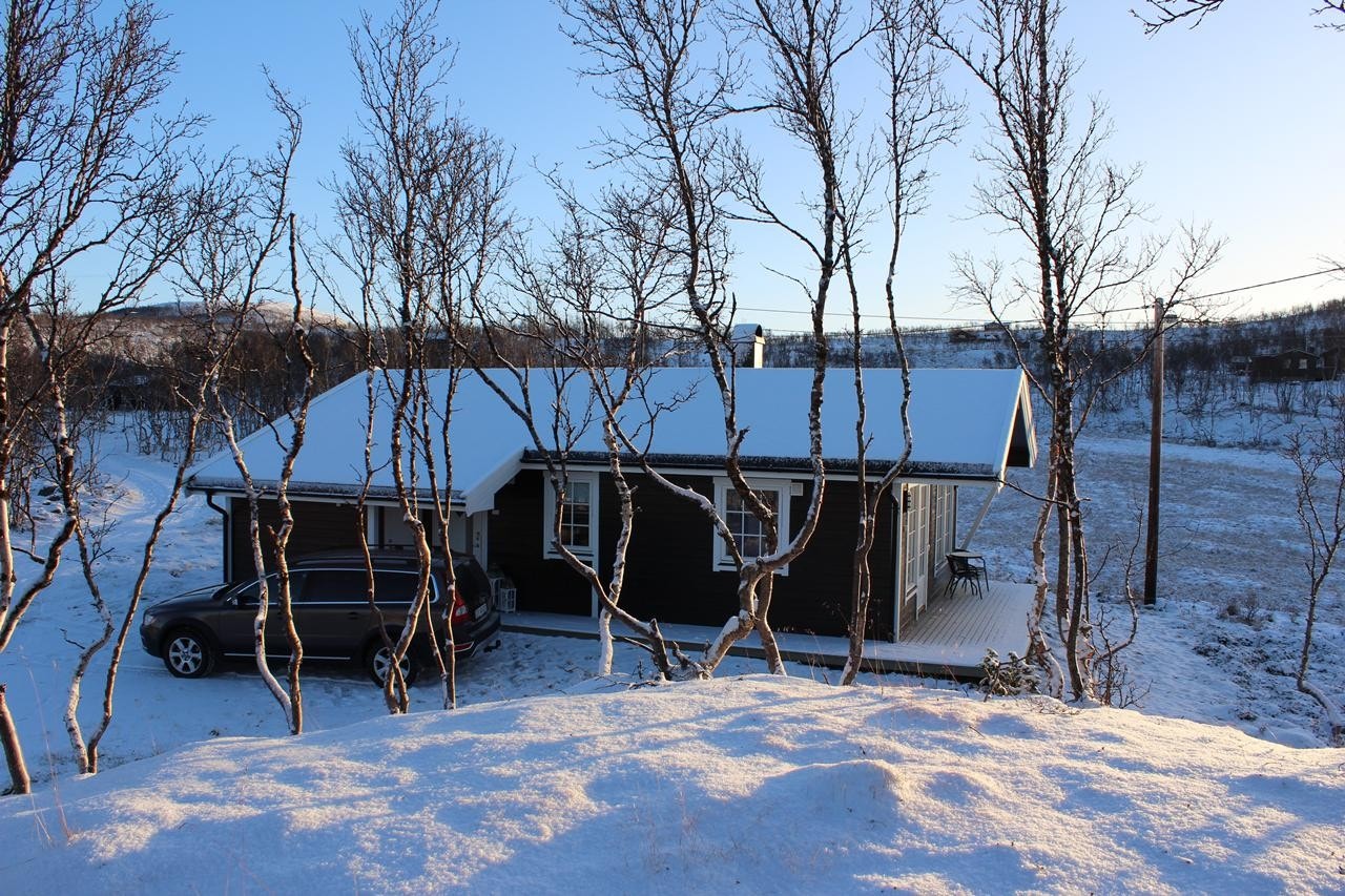 Fasade mot vest Galleribilde