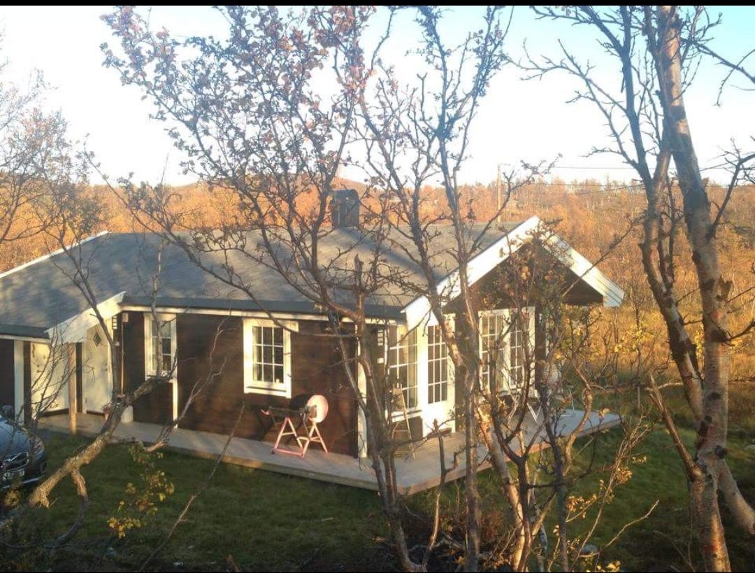 Sommerbilde Galleribilde