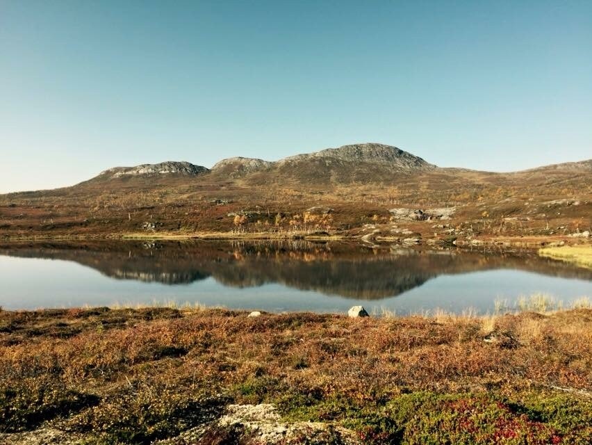 Flott jaktterreng i området Galleribilde