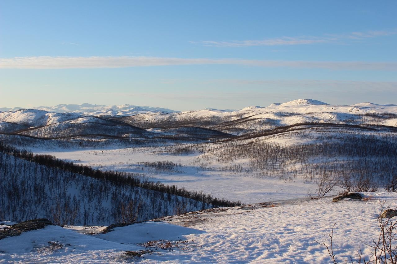 Fint turterreng ved hytta Galleribilde