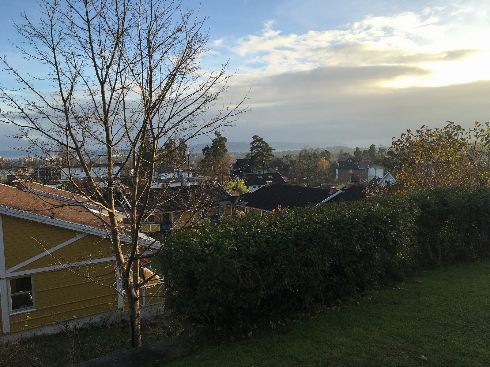 Fjordutsikt Galleribilde