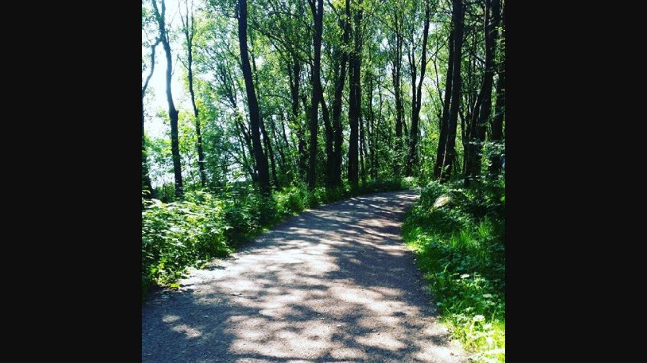 Turområde like i nærheten. Galleribilde