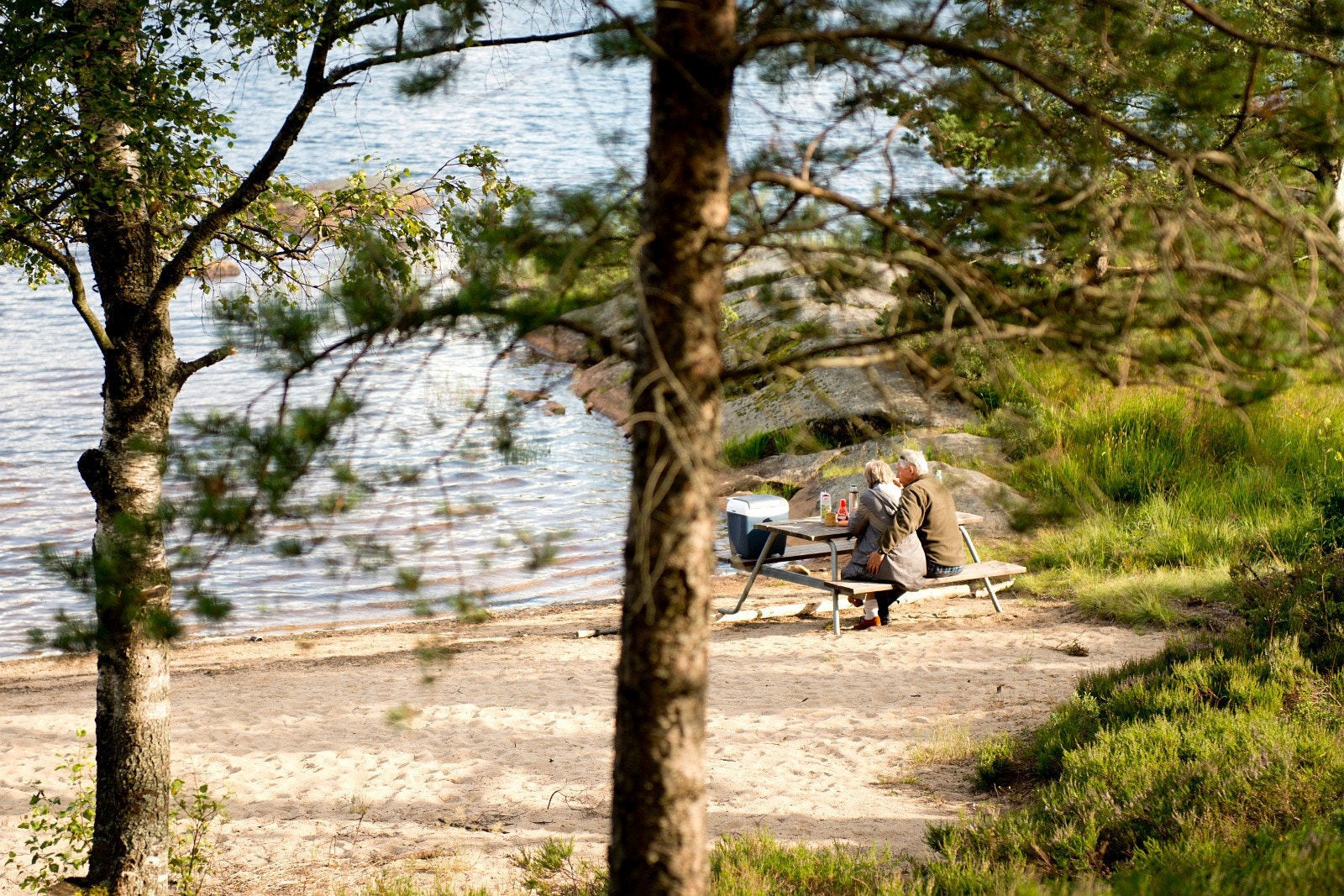 Idyllisk ved Sandvand Galleribilde