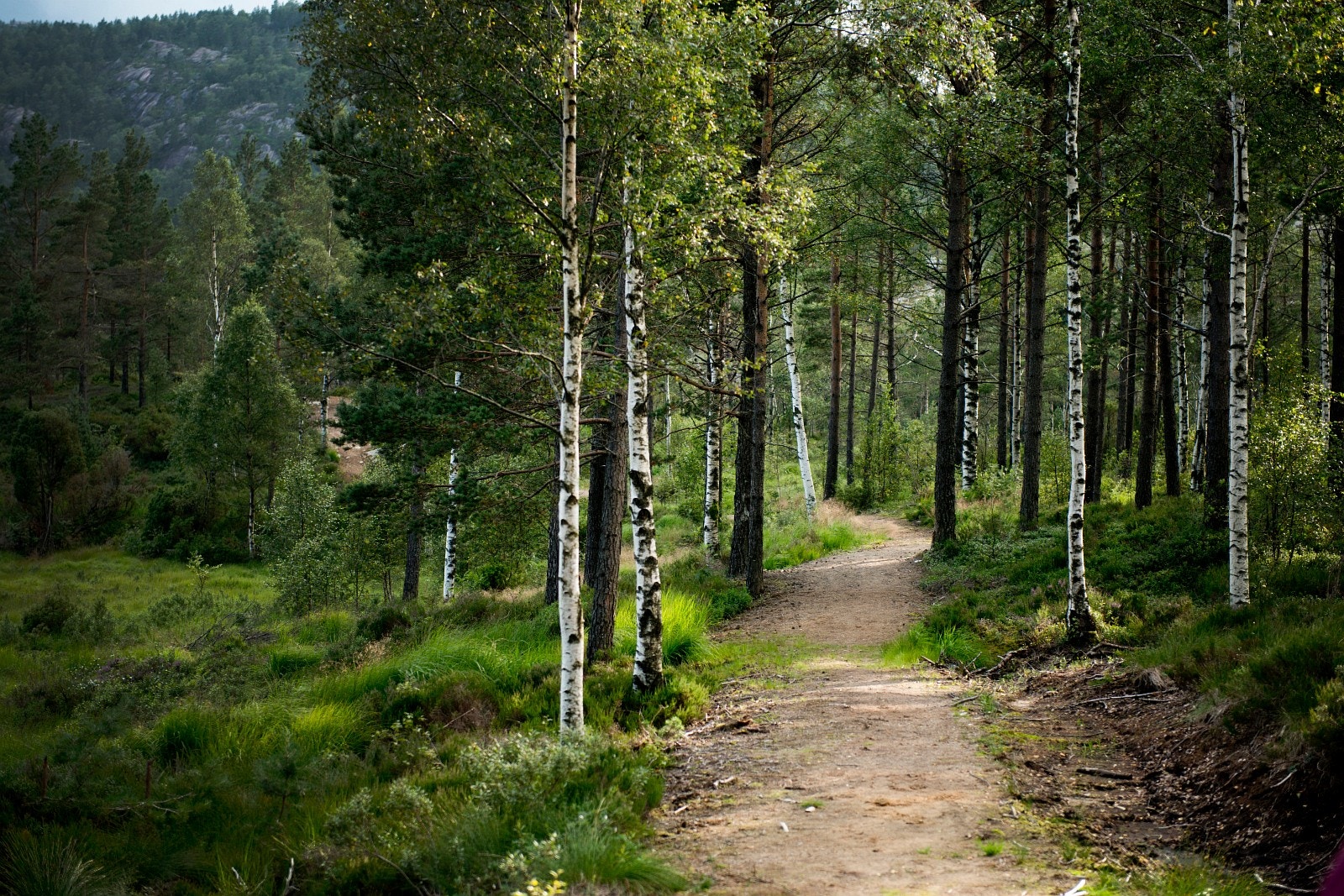 Turveg rundt sandvand på 3,3 km Galleribilde