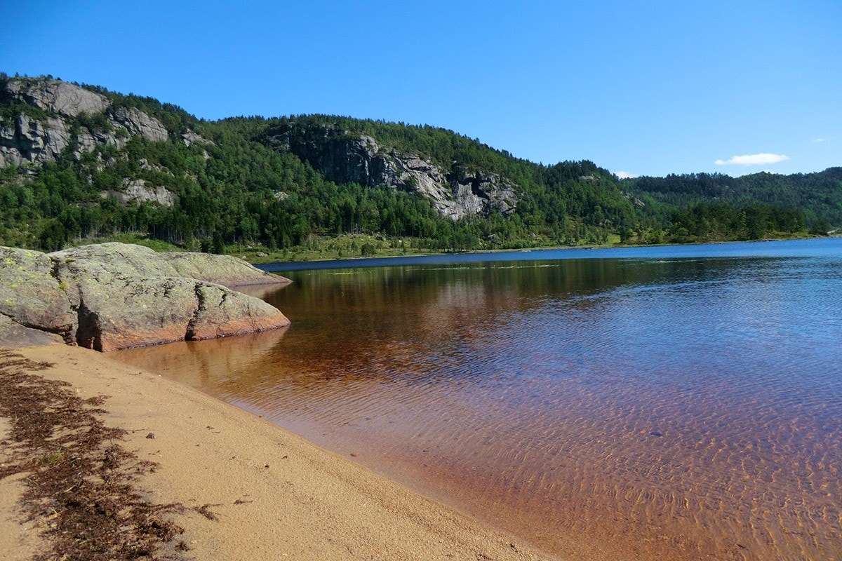 Sandstrand på Sandvand Galleribilde