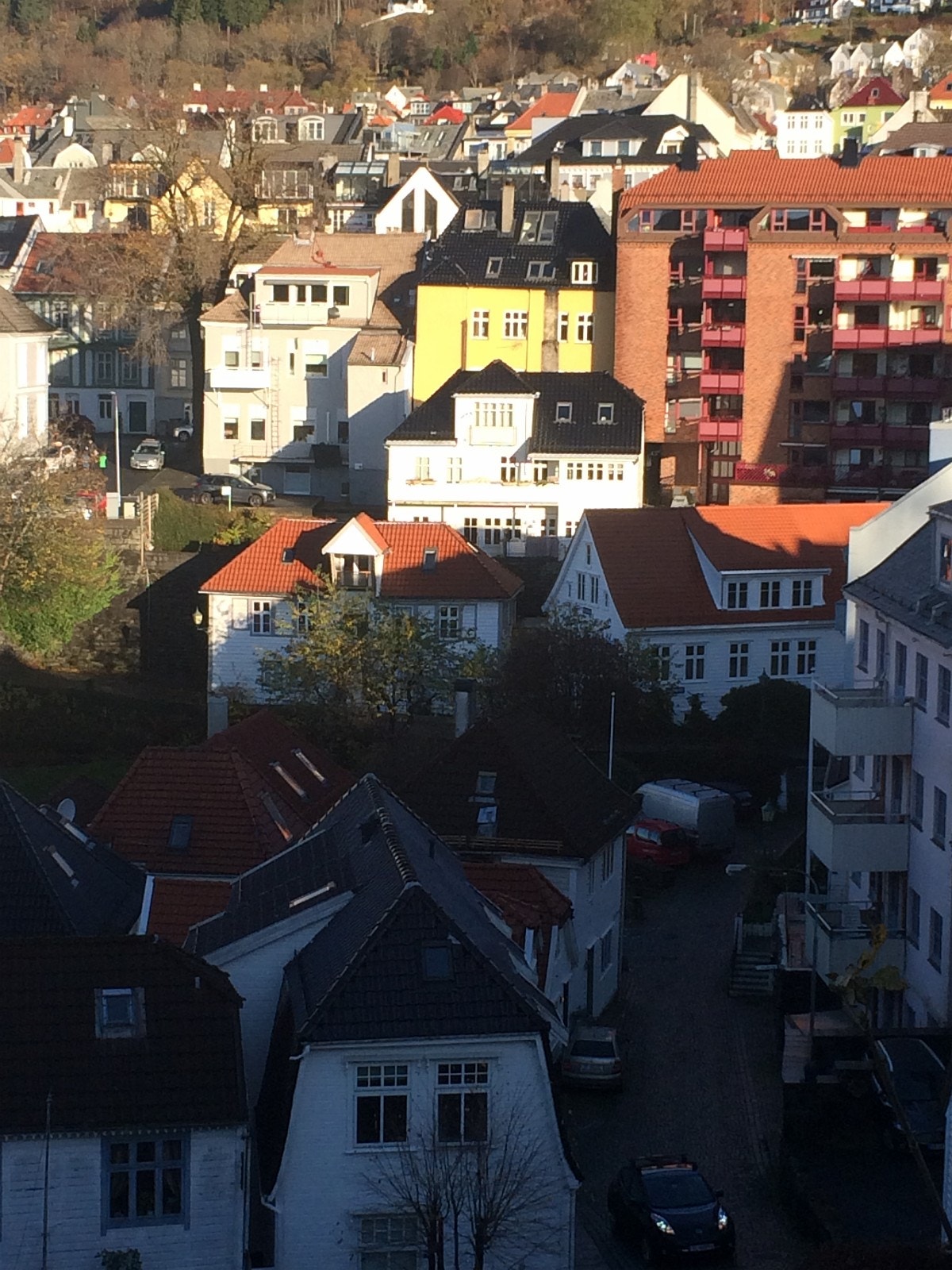 Hvit trehus med sort tak fremfor gult murhus. Bilde tatt fra Sverresborg Galleribilde