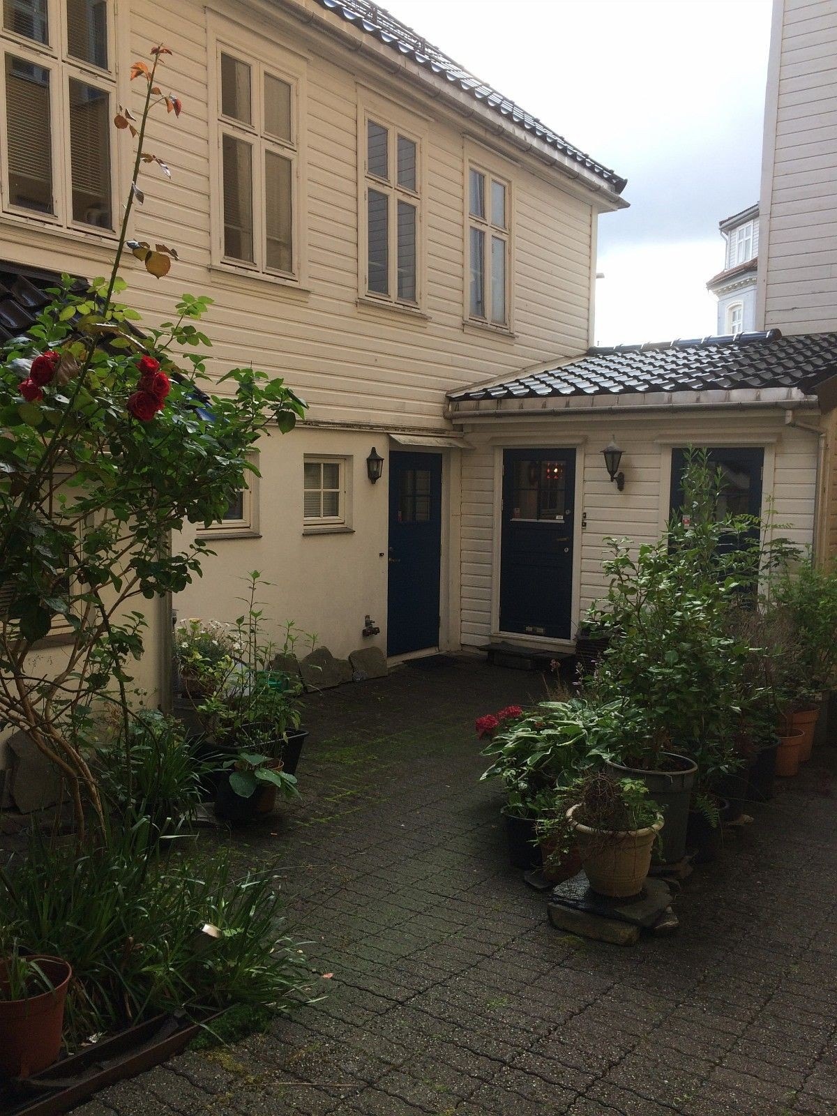 Bakgård Galleribilde