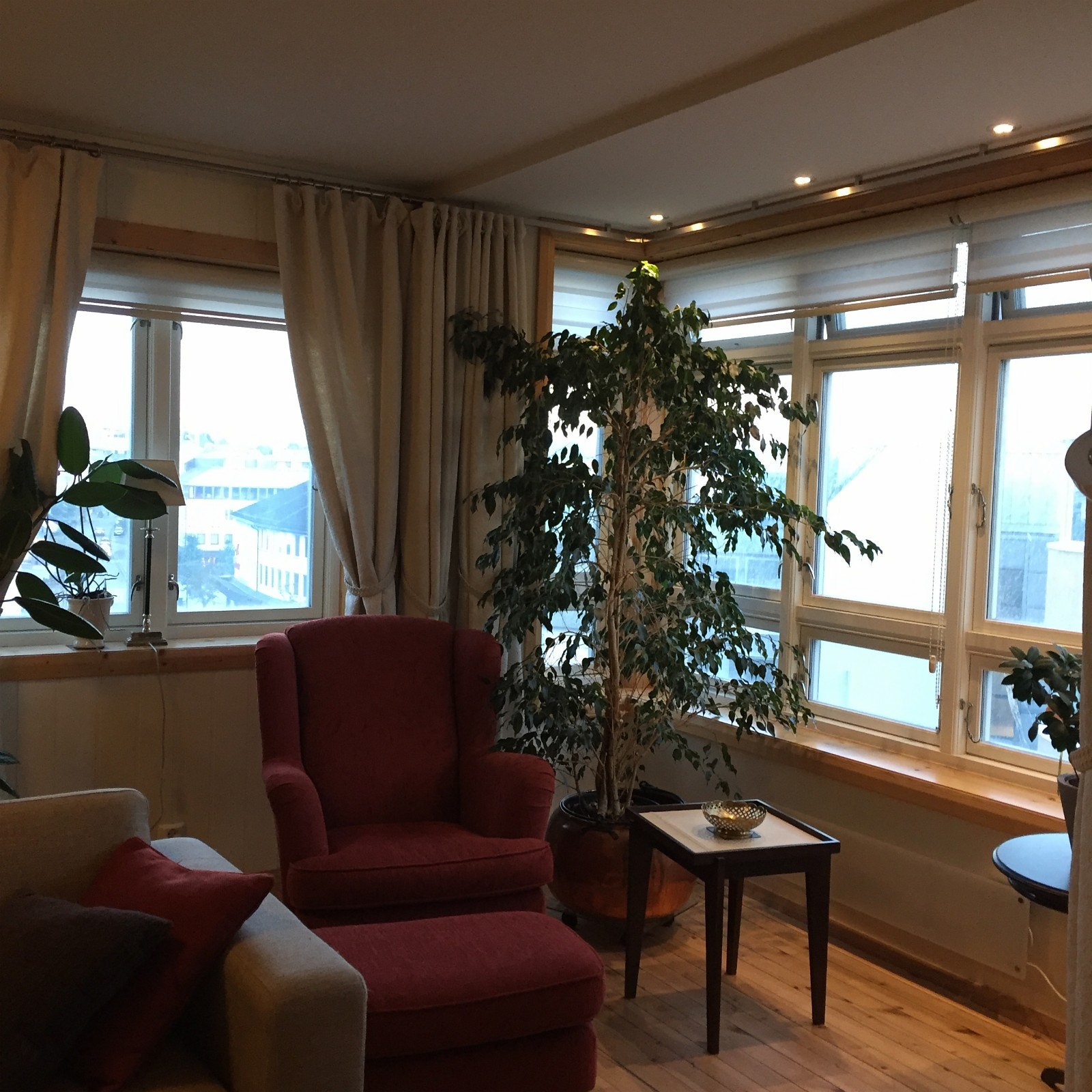 Stue med store vindu Galleribilde