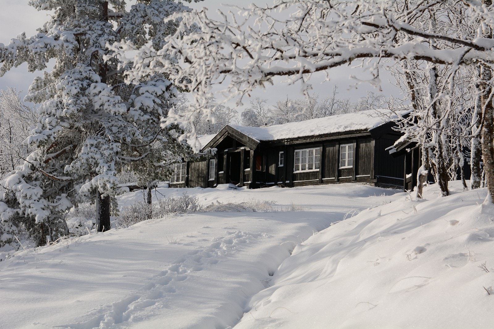 På den andre siden vil hytta se omtrent slik ut. Inngangen har svalgang med stolper, overbygg og innebygde benker. Foto: Anne Mari Lo Galleribilde
