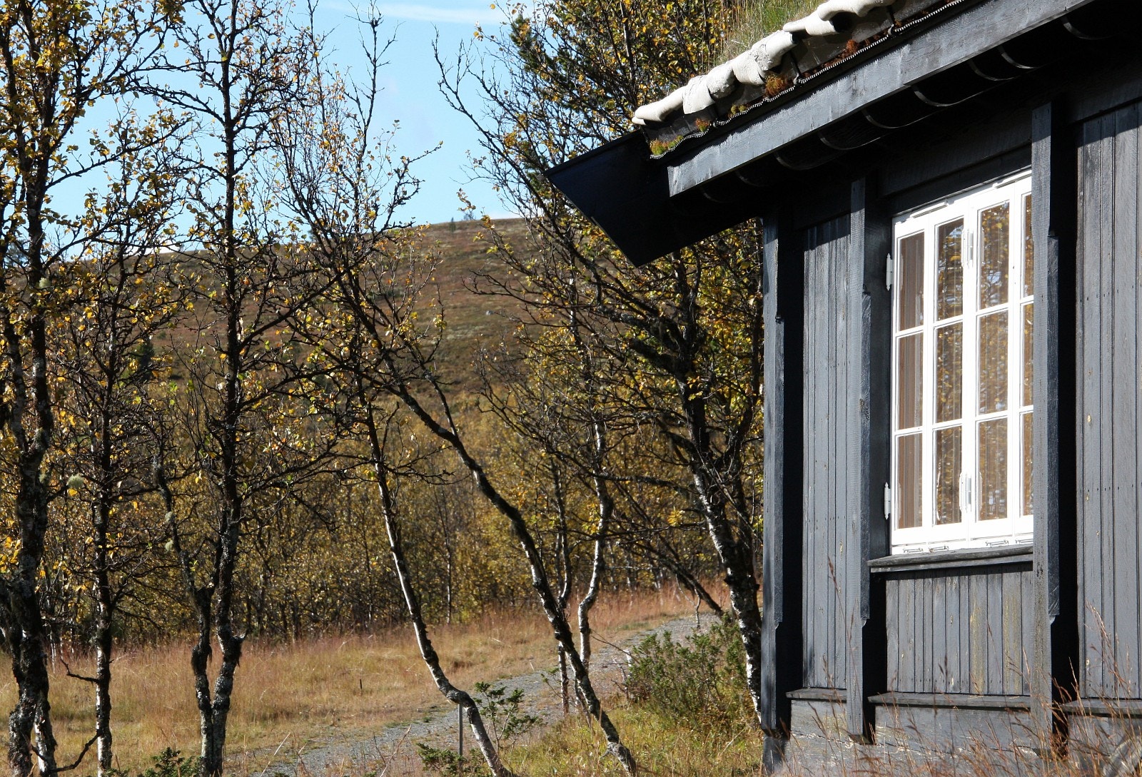 Fra toppen av Skardfjellet (t.v.) er det utsikt til fire nasjonalparker; Jotunheimen, Reinheimen, Rondane og Langsua. Denne hyttemodellen bærer navnet Skardfjell. Foto: Anne Mari Lo Galleribilde