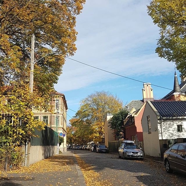 Rolig og stille blindgate som ender i Bogstadveien Galleribilde