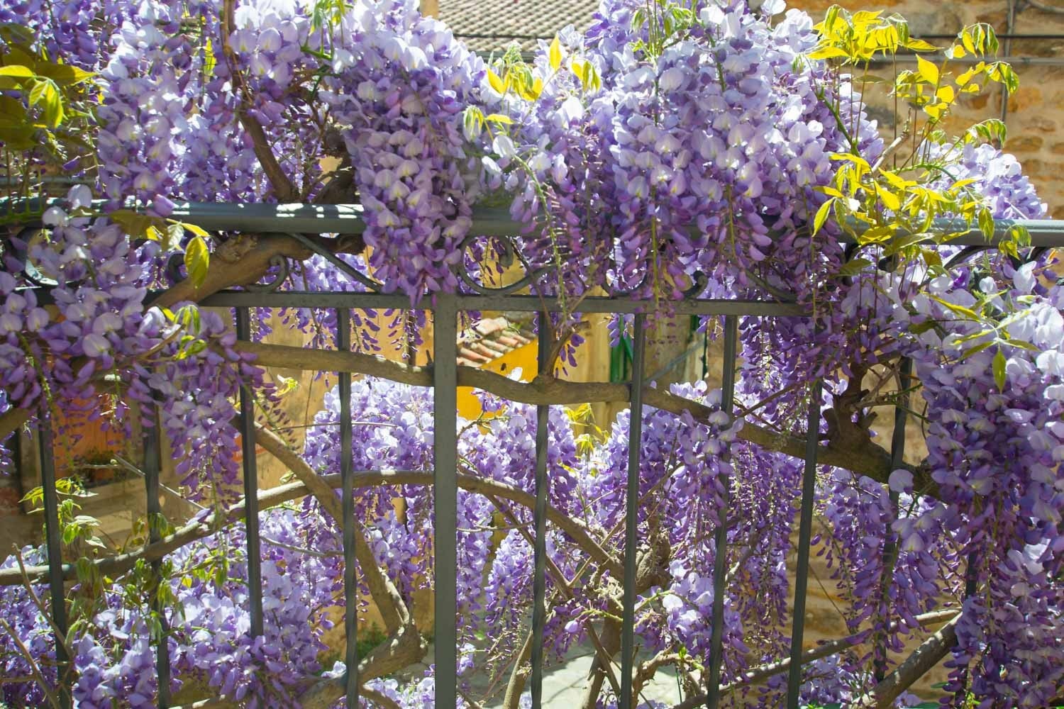 Rekkverket i trappen opp til huset Galleribilde