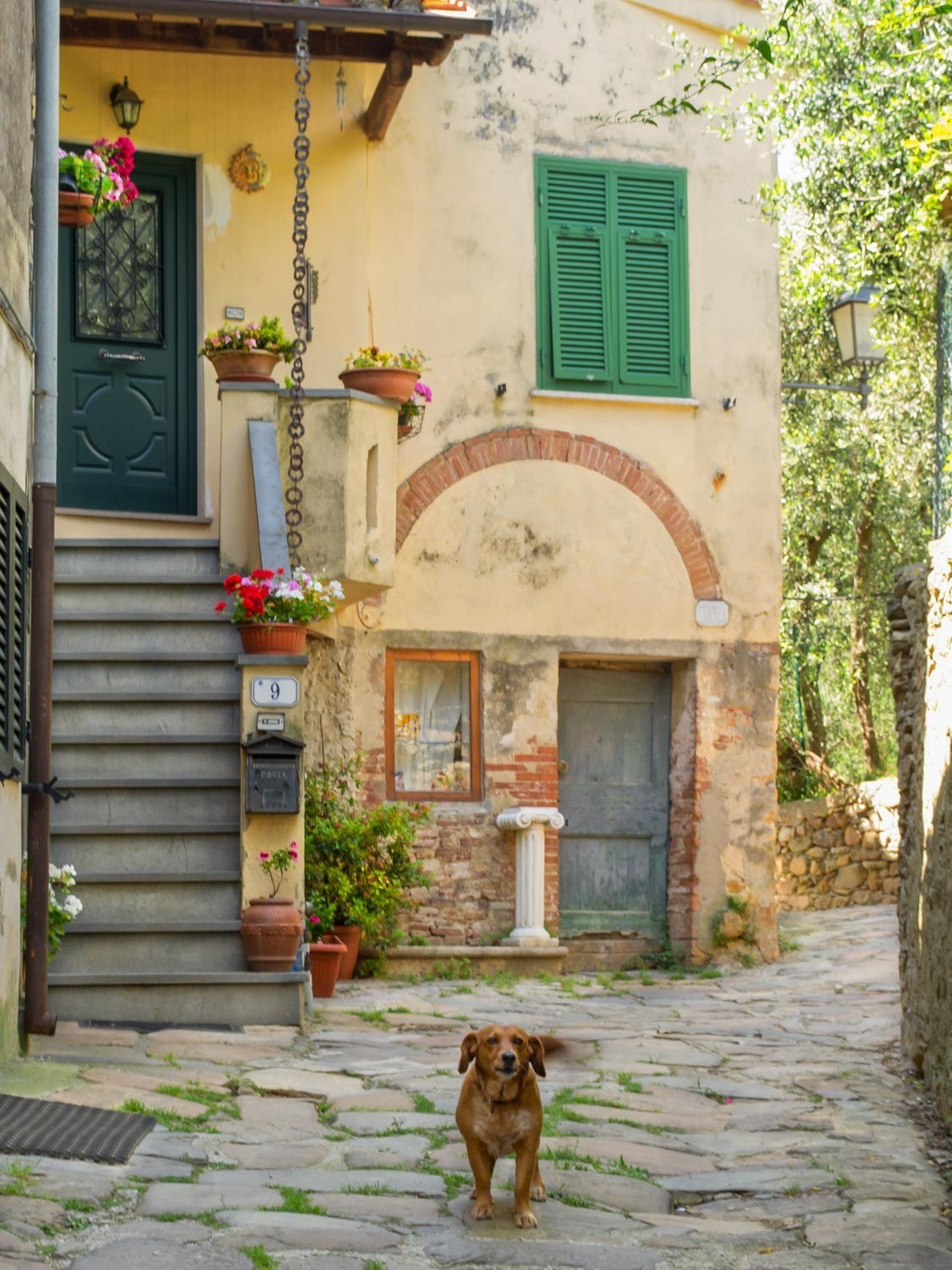 Trange gater i landsbyen vår Galleribilde