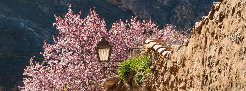 Detalj fra landsbyen Galleribilde