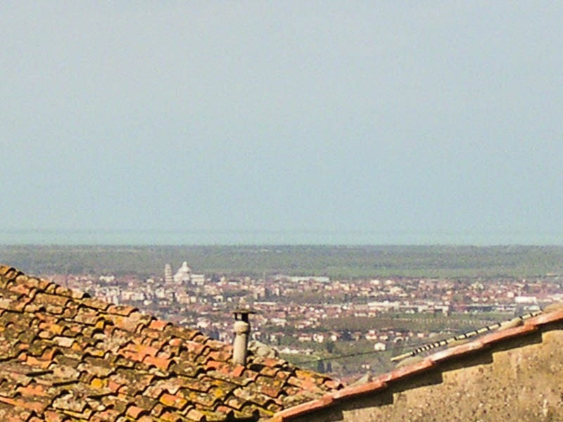 Det Skjeve Tårnet sett fra hagen Galleribilde