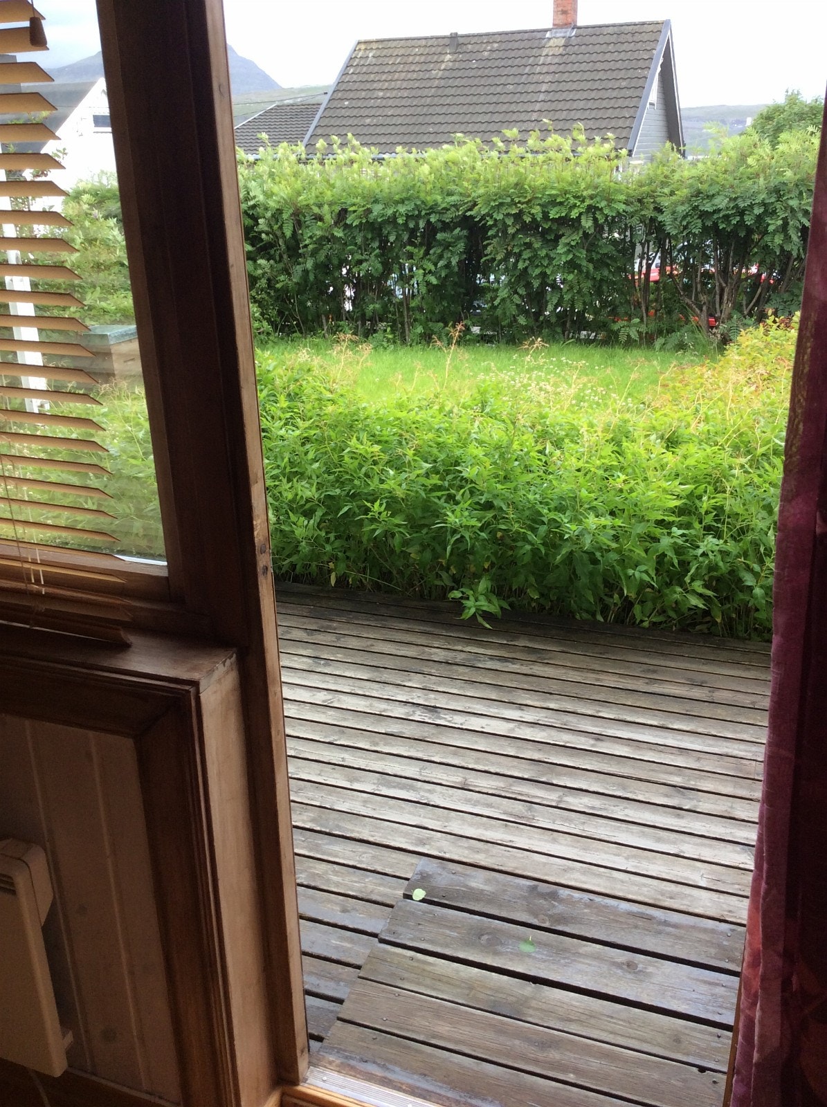Platting med utgang fra stuen. Galleribilde