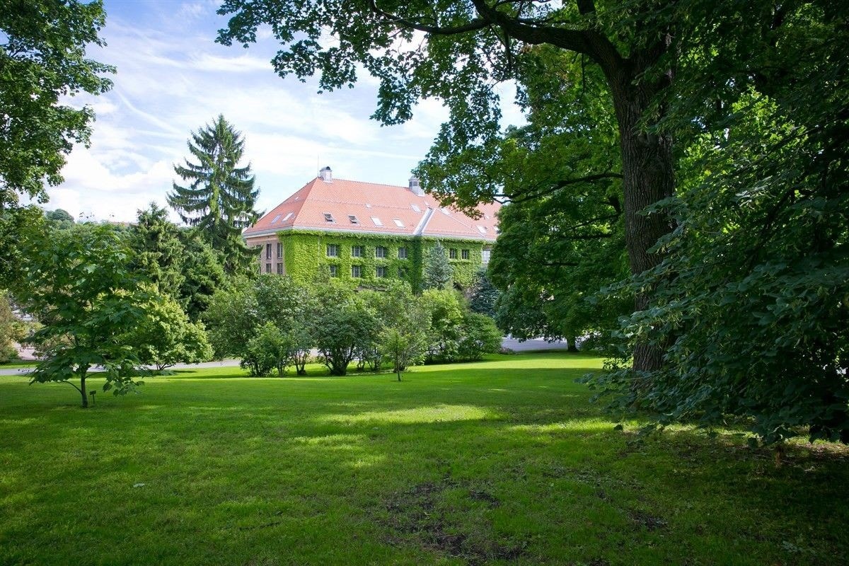 nærområde Galleribilde