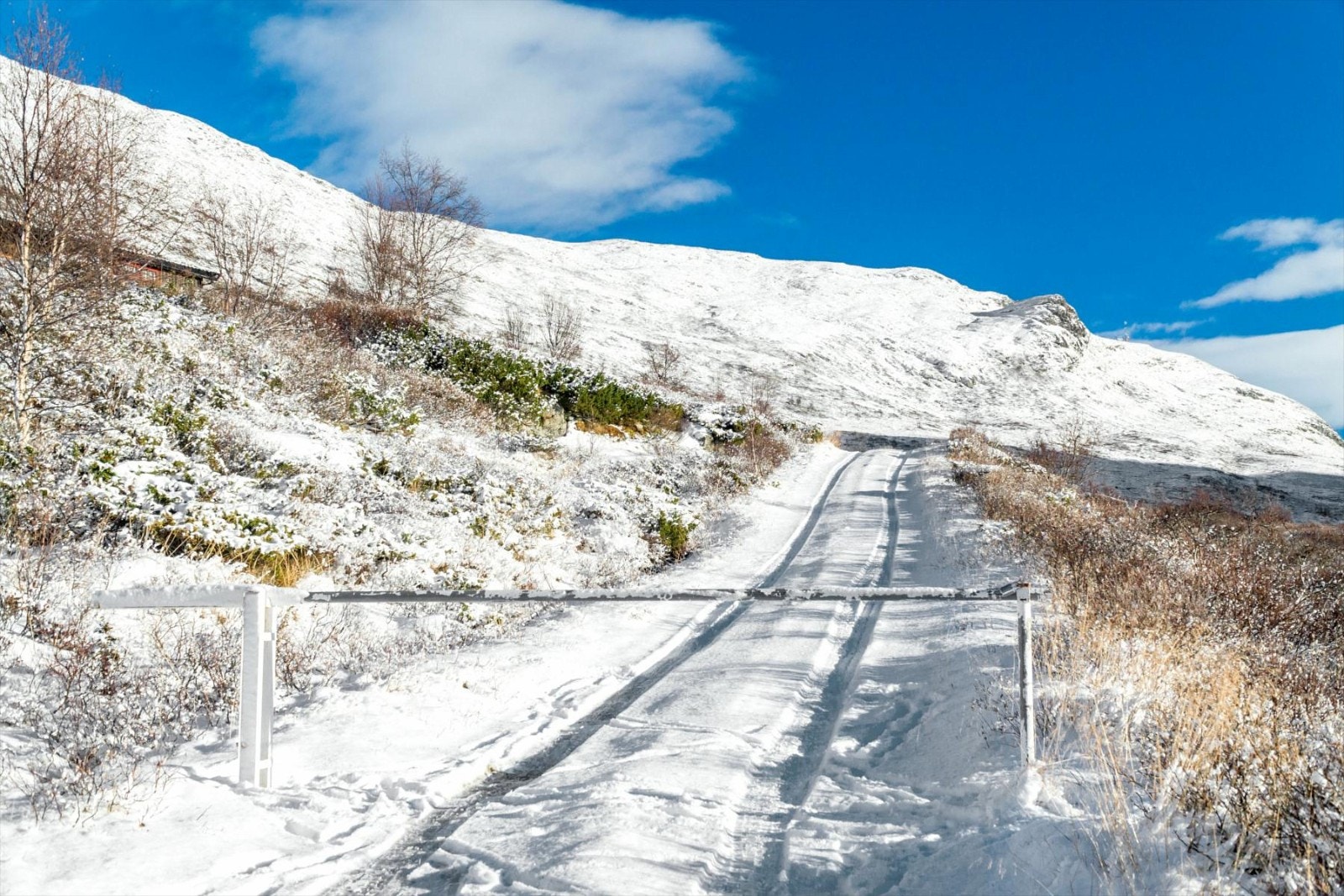 utendørs 12 5100 Galleribilde