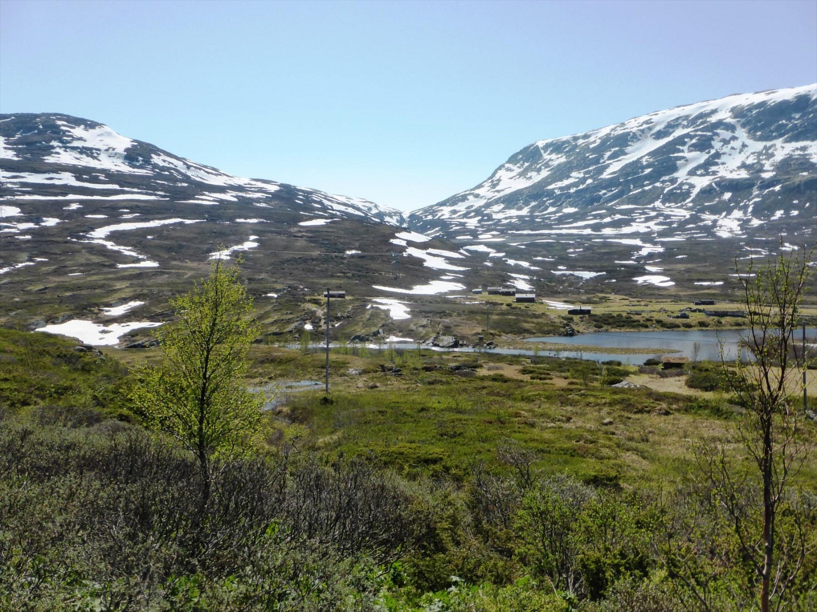 Vakre og ville omgivelser Galleribilde