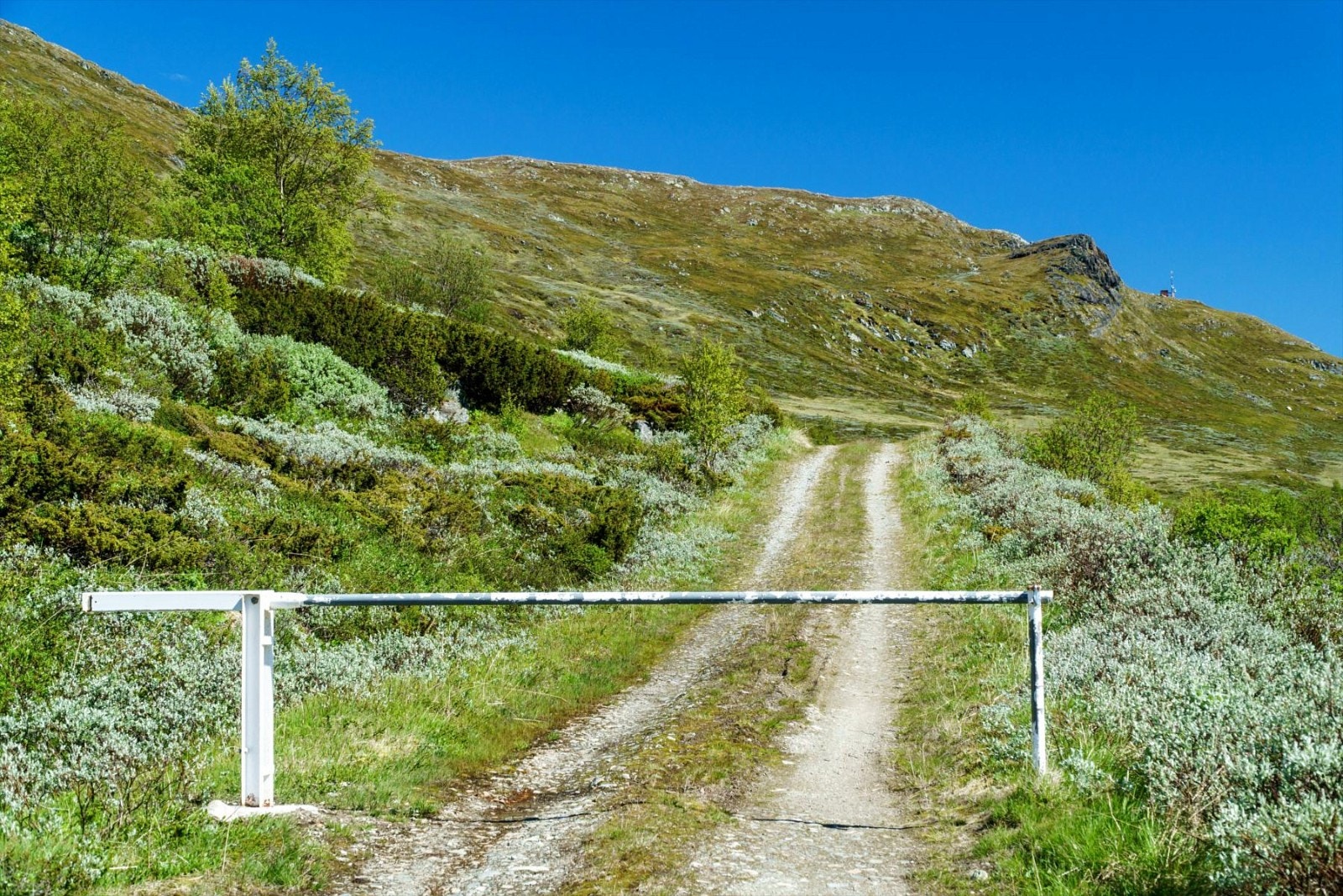 utendørs 24 5100 Galleribilde