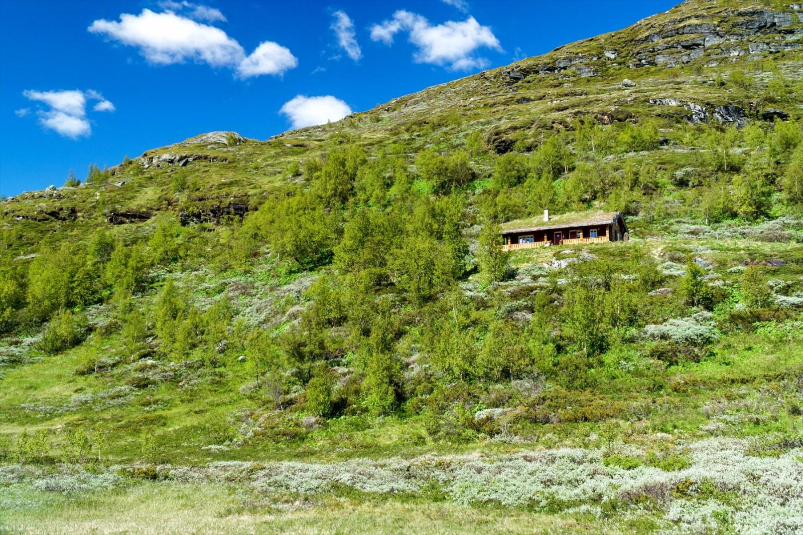 utendørs 14 5100 Galleribilde