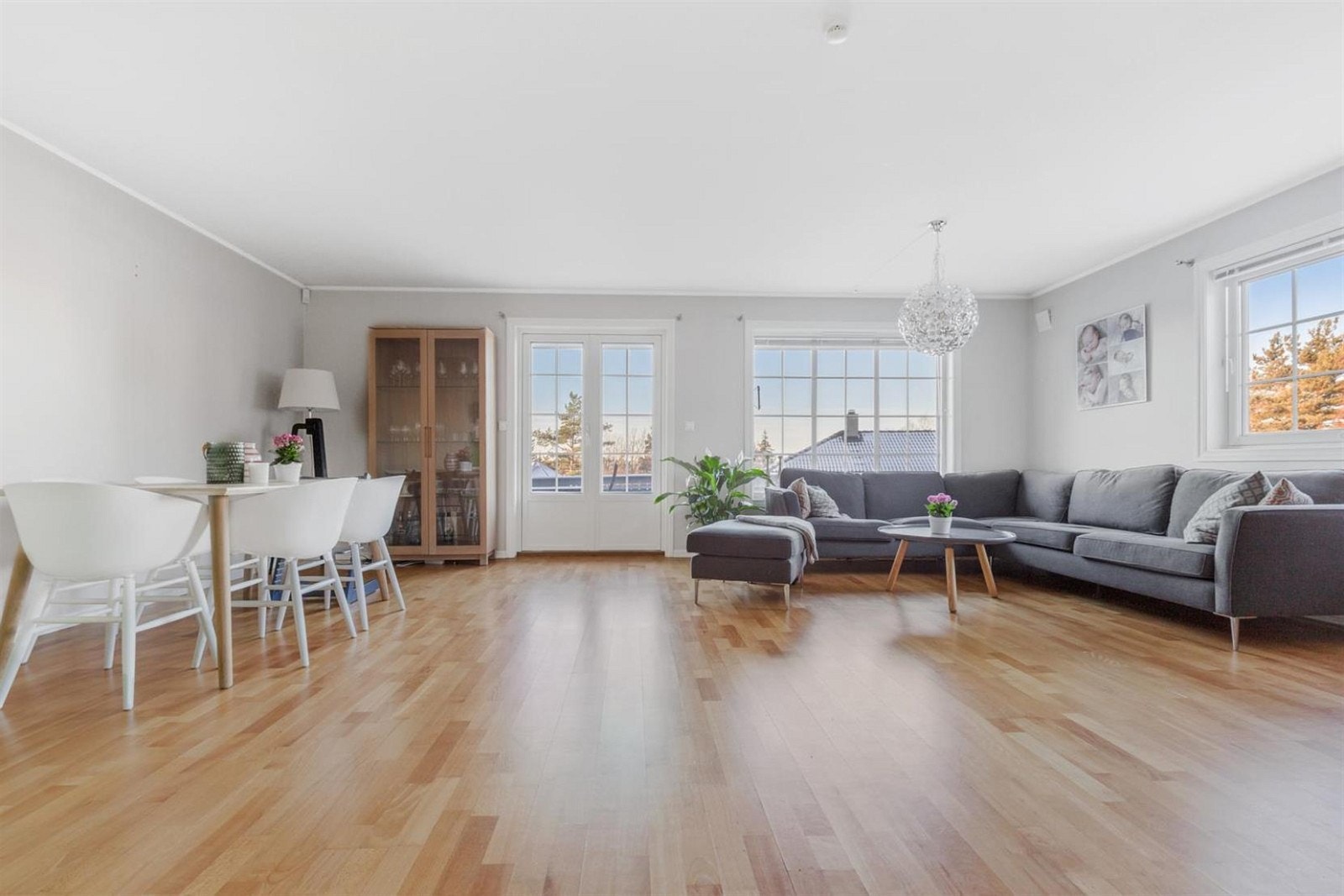 Trivlig stue med mye dagslys. Galleribilde