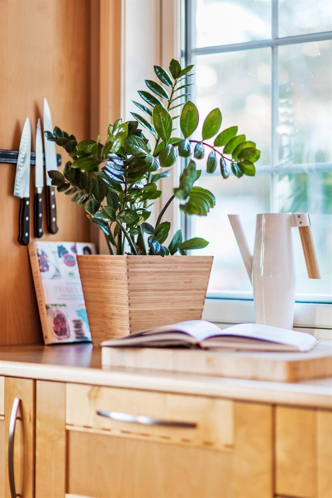 Detaljbilde fra kjøkkenet. Galleribilde