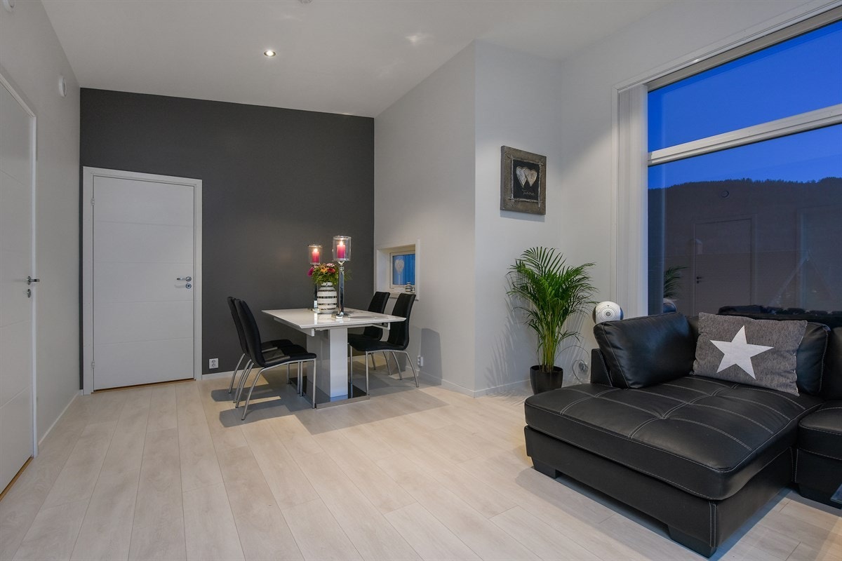 Stuen har downlights belysning, hvite vegger og en mørkere grå fondvegg. Galleribilde