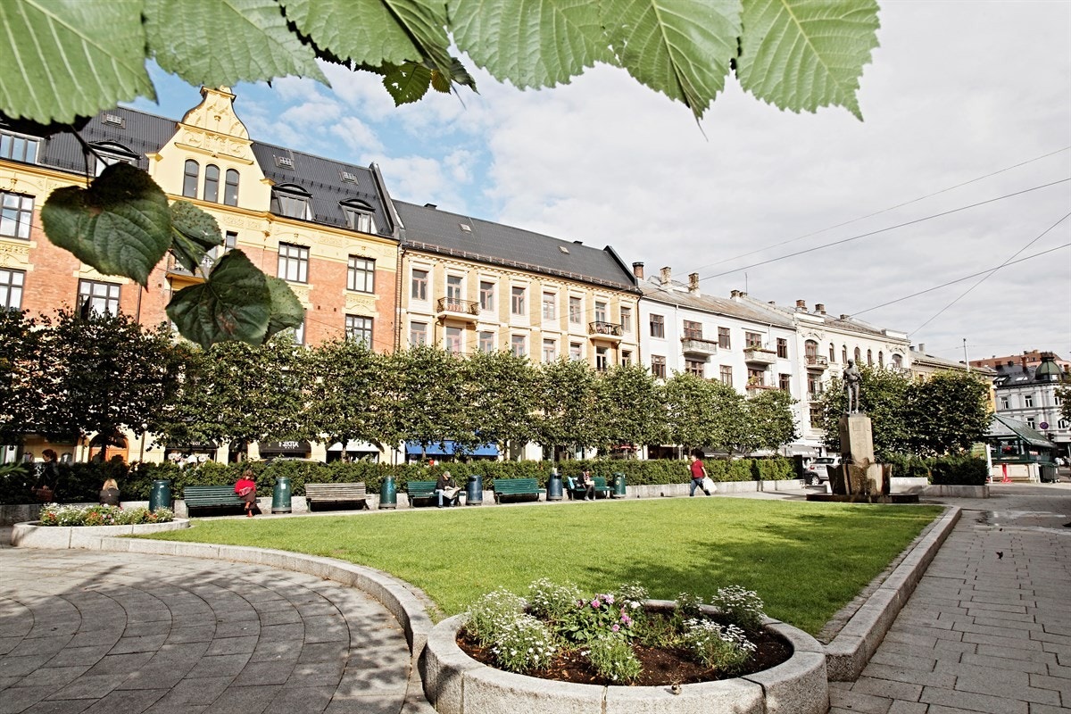 Valkyrieparken Galleribilde