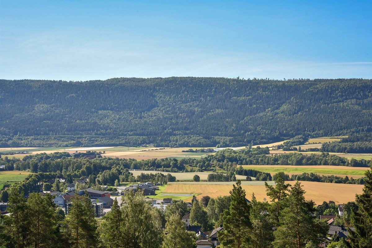 Praktfull utsikt utover mot resten av Nedre Eiker. Galleribilde
